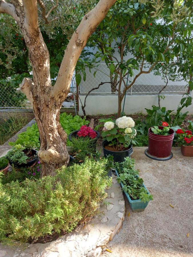 Apartments Sunag Σίμπενικ Εξωτερικό φωτογραφία